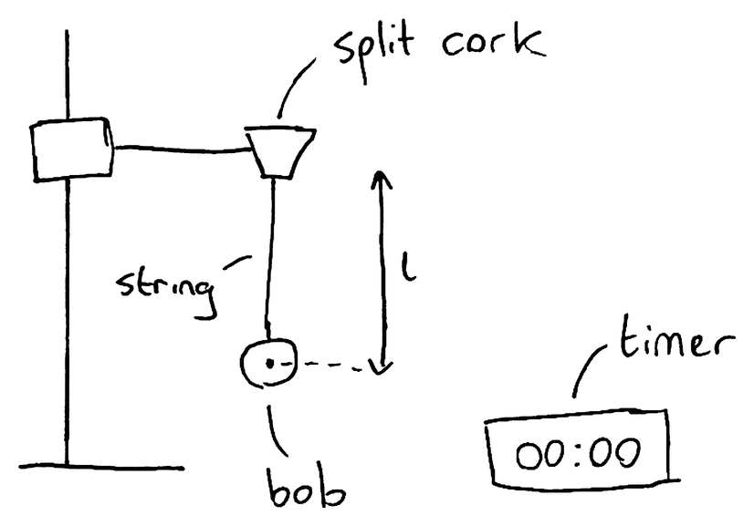 A bob on a string hanging from a split cork held in a clamp stand, with the length l marked from the bottom of the cork to the centre of the bob, and a timer.